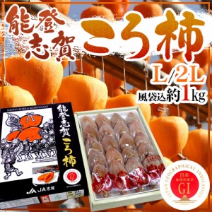 石川県 ”能登志賀ころ柿” L 2Lサイズ 16～20玉 風袋込約1kg 化粧箱 枯露柿 GIマーク付き 送料無料