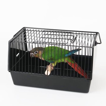 哈鳥鸚鵡鳥外出箱 運輸籠 戶外鳥籠  鸚鵡外出箱 鳥用便攜箱