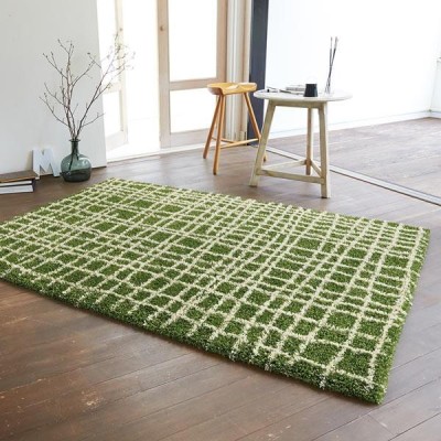 使用期間少　美品　ラグ 200×140cm グリーン レシェ クリーニング済 使用期間少 美品 ラグ 200×140cm グリーン レシェ クリーニング