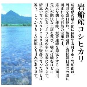 ふるさと納税 新潟県岩船産コシヒカリ そのまんま真空パック 900ｇ×6袋 新潟県