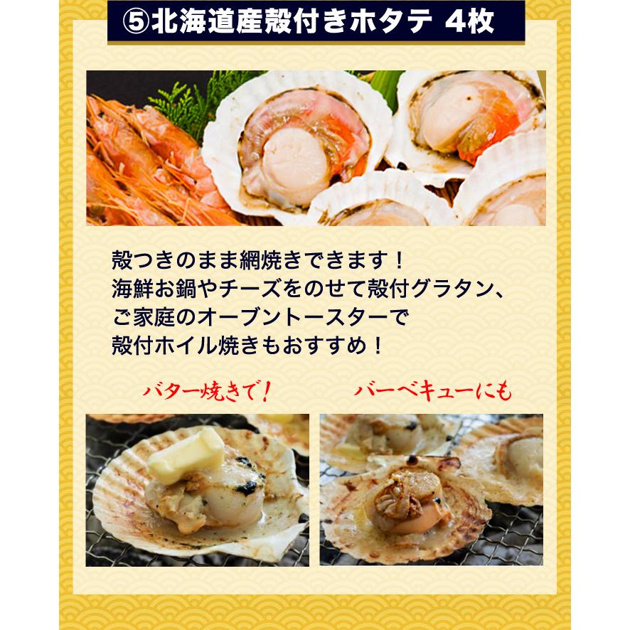 海鮮セット 海鮮福袋 海鮮BBQ 本ズワイガニ お得な海鮮 快適生活 特選海宝福袋