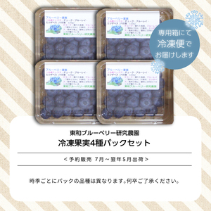 東京農工大学名誉教授「横山　正」ブランドのブルーベリー冷凍果実4パックセット（品種おまかせ）