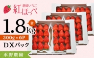 １９２０　②2月からの発送 掛川産完熟いちご 紅ほっぺ 300g×6P 1.8ｋｇ (8～15粒入×6P)　※発送時期をお選び下さい①1月 ②2月 　受付順に順次発送・ 水野農園