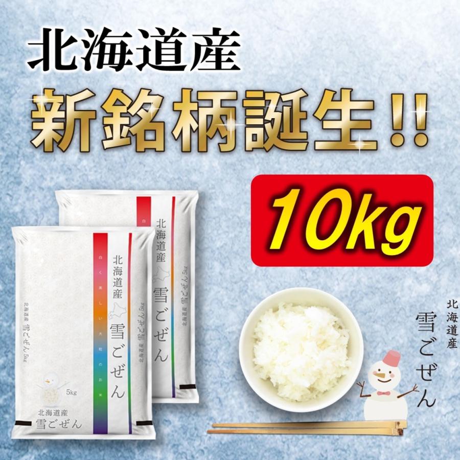 新米 お米 ゆきごぜん 北海道産 10kg 令和5年産