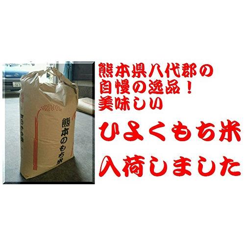 令和4年 熊本県産 もち米 ひよくもち 白米 10kg