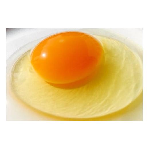 ふるさと納税 茨城県 古河市 AG01_江原ファーム　アローカナの青い卵（３０個）◆