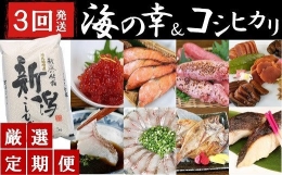 日本海鮮魚センター厳選！月替わり海の幸＆コシヒカリ（5kg）セット[E925]