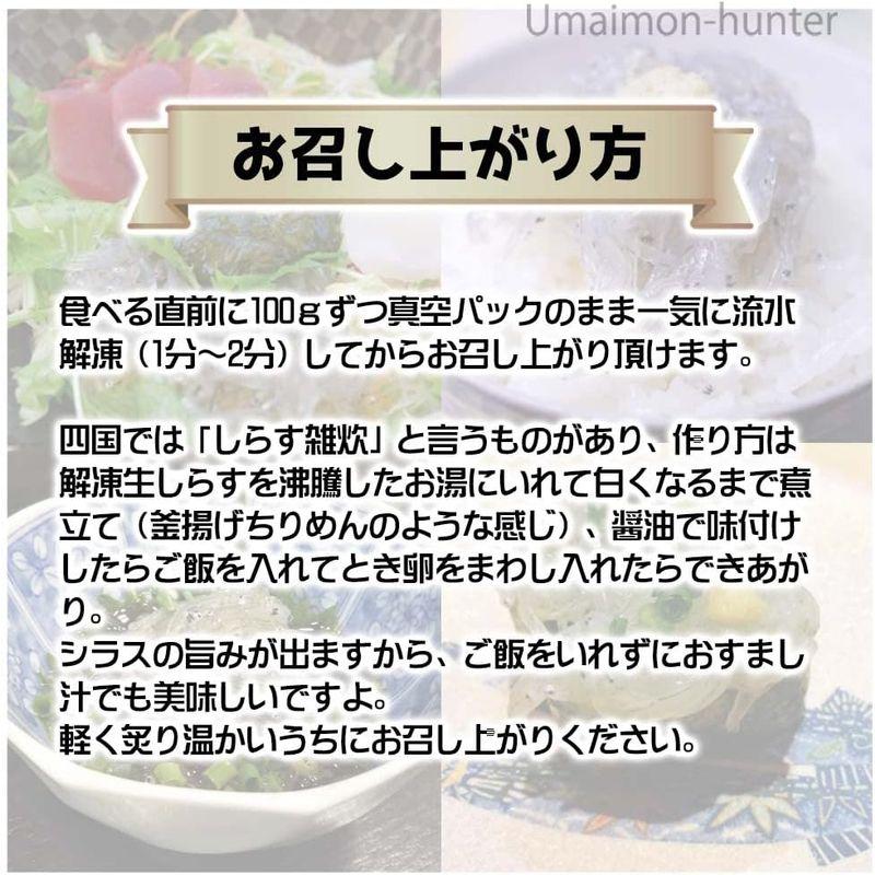 高知県産 活冷凍 生しらす 100g×10P 生食用