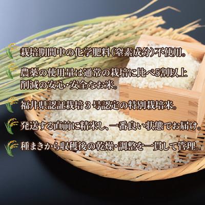 ふるさと納税 越前市 令和5年 新米 福井県産 栽培期間中農薬を減らして栽培したこしひかり 2kg(白米)