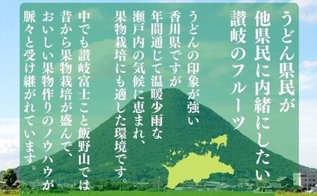 フルーツ定期便 12回 城下町の果実 百果繚乱 旬のお届け 果物 果物類 シャインマスカット 桃 キウイ ぶどう みかん 旬 詰め合わせ