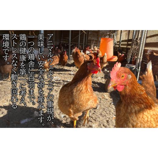 ふるさと納税 埼玉県 蓮田市 平飼い卵 30個入 Lサイズ