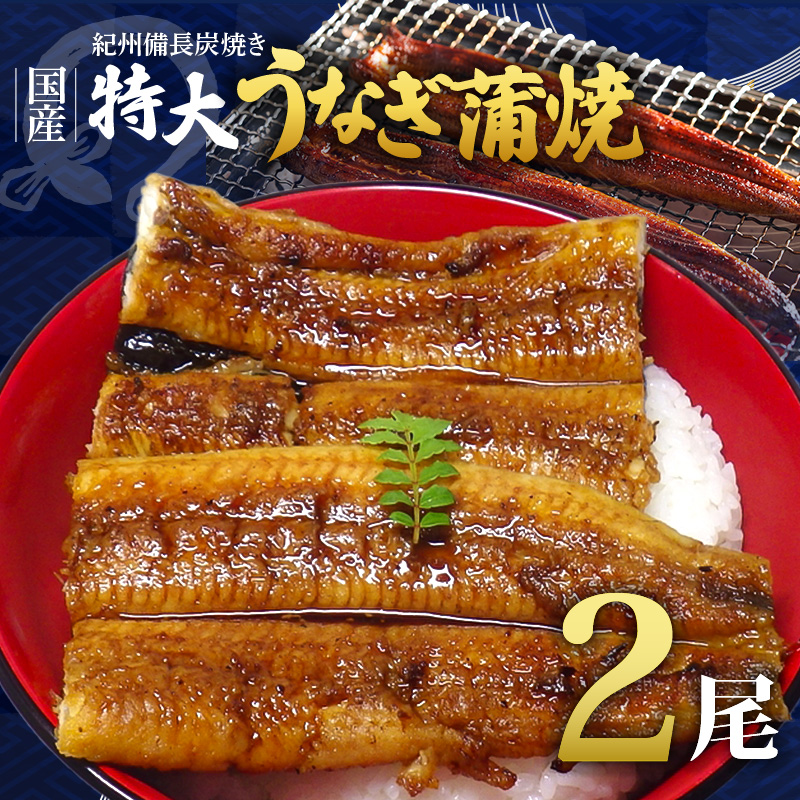 R6102_紀州備長炭焼き 特大 うなぎ 蒲焼き(国産)