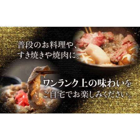 ふるさと納税 丸明 飛騨牛 A5 切り落とし 500g      和牛 国産  ブランド牛 5等級 飛騨高山   TR3733 岐阜県高山市