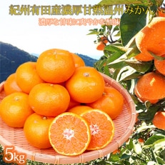 紀州和歌山産旬の柑橘セット(みかん・ポンカン・清見)全3回
