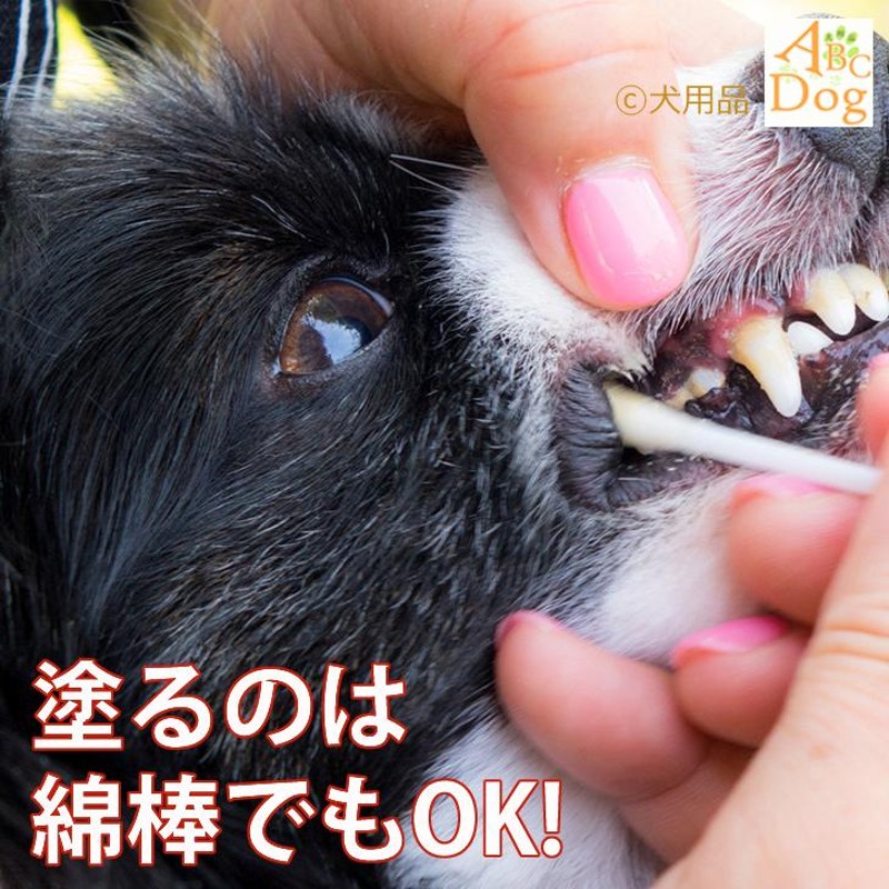 犬 猫 歯石除去 歯磨き】補足説明② - 犬用品