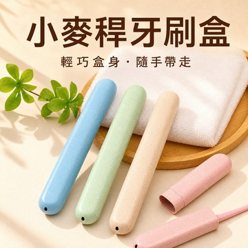 旅行牙刷盒 牙刷收納盒 牙刷盒 牙刷套 牙刷保護盒 攜帶式牙刷盒 外出牙刷盒 牙刷防塵盒 透氣牙刷盒