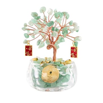 【雨揚珍品】富貴發財綠東菱樹 (招財/事業運/考運/木行能量)