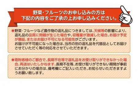 寿太郎 みかん 10kg みかん 柑橘 みかん 貯蔵 みかん 熟成 みかん 濃厚 みかん 贈答用 みかん 西浦 みかん