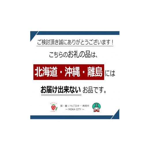 ふるさと納税 栃木県 真岡市 朝摘み とちあいか 3Lより大きいデラックス たっぷり１.６ｋｇ 真岡市 栃木　【２０２３年10月から寄付額を変更させ…