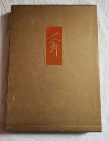 正版 中國當代油畫名家畫集 艾軒 人物畫繪畫冊畫集作品