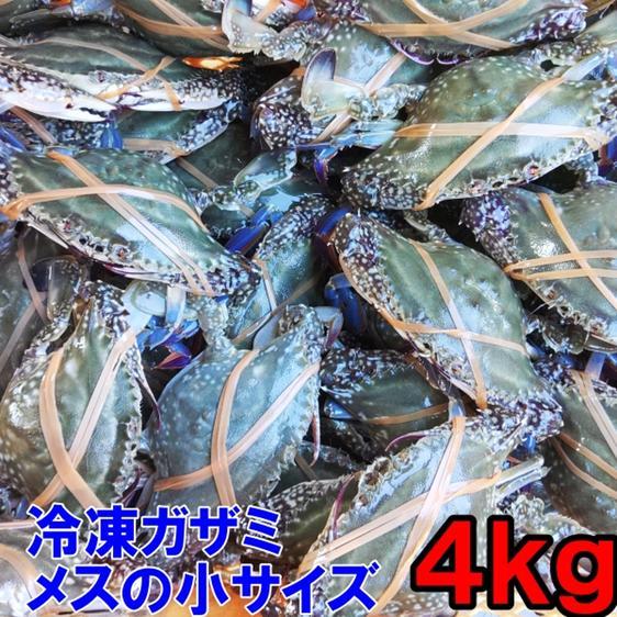 魚介類 カニ ワタリガニ メス小冷凍発送4ｋｇ（約２４杯）ガザミ渡り蟹 産地直送