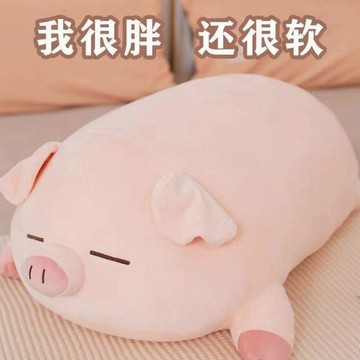 💥熱門新品💥仿真小豬抱枕 睡覺抱抱枕 可愛豬豬趴趴枕 母豬掛件 毛絨玩偶  抽象惡搞 可愛趴趴小豬玩偶抱枕睡覺毛絨豬