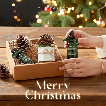 聖誕禮物1+1🎁快速出貨【癒森林】Lucky Pinecone 聖誕可可松果擴香禮盒  射手座生日禮物