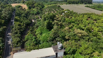 大樹區小坪路近市區稀有臨路居高臨下面寬農地｜高雄市大樹區龍目段