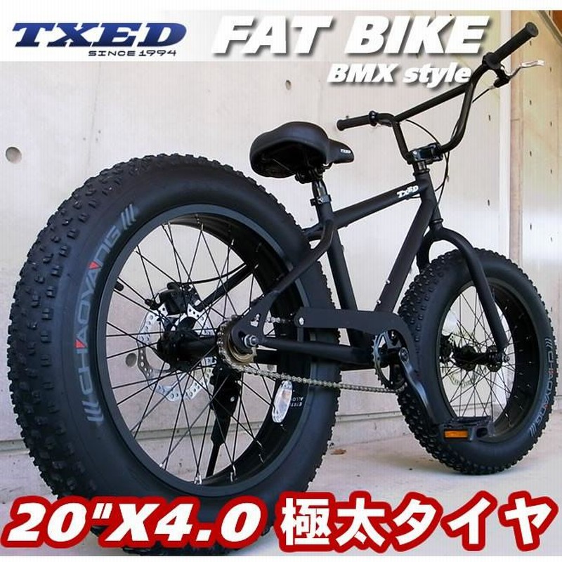 TXED ファットバイク 20インチ DISKブレーキ - 自転車