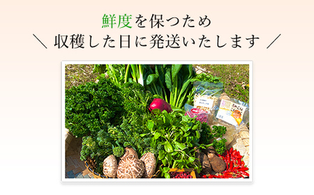 京野菜15品目詰合せ FCCM003