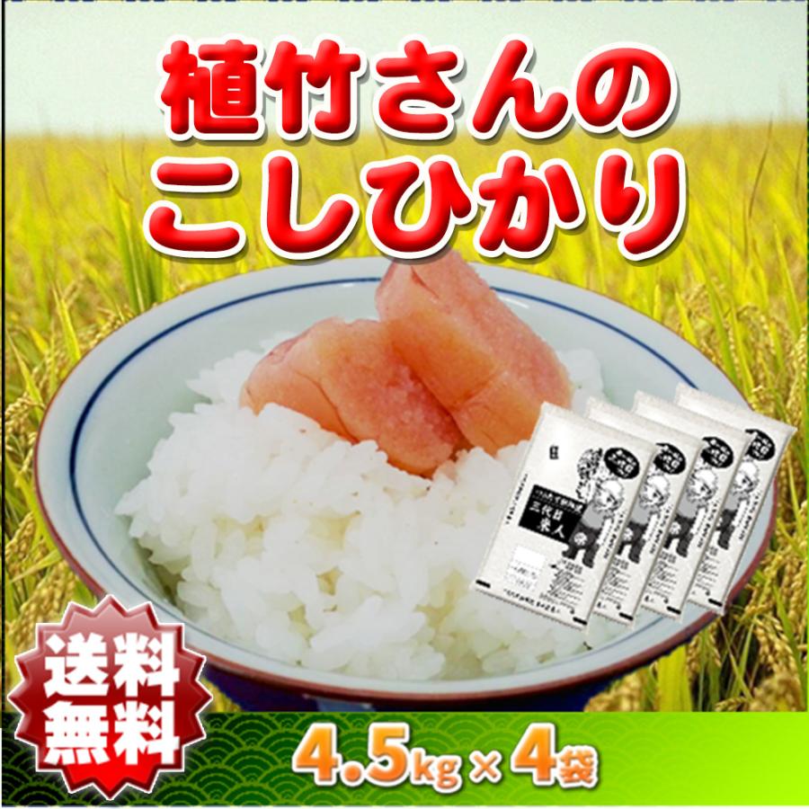 コシヒカリ  お米 白米 玄米 18kg 小分け 令和5年産 埼玉県 地域限定 送料無料