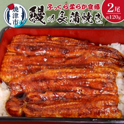 ふるさと納税 焼津市 鰻 の 長蒲焼き 2尾 詰合せ(a19-013)