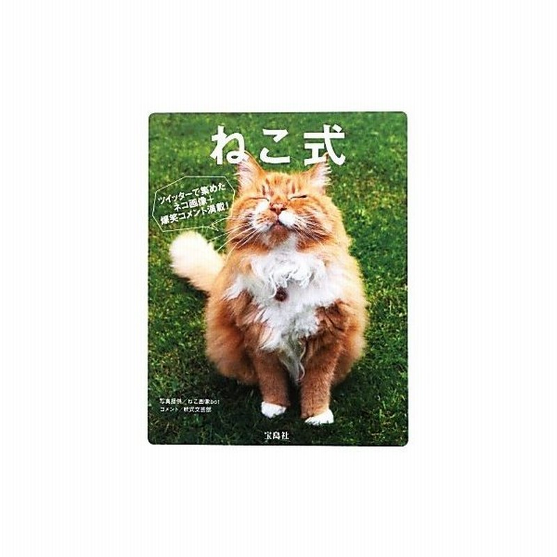 ねこ式 尾を引くおもしろネコ画像３３４ 軟式文芸部 コメント 通販 Lineポイント最大get Lineショッピング