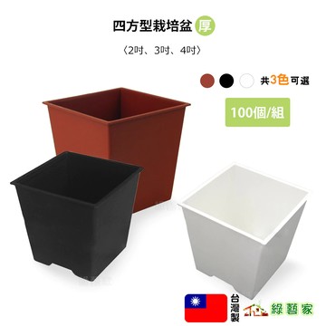 四方型栽培盆(厚)100個/組 2吋 3吋 4吋(磚紅色 黑色 白色 共3色可選)【綠藝家】