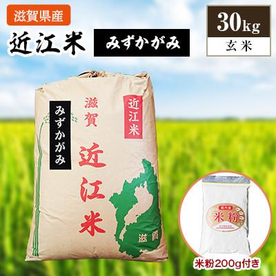 ふるさと納税 竜王町 令和5年産新米　近江米みずかがみ30kg(玄米)　米粉200g付き