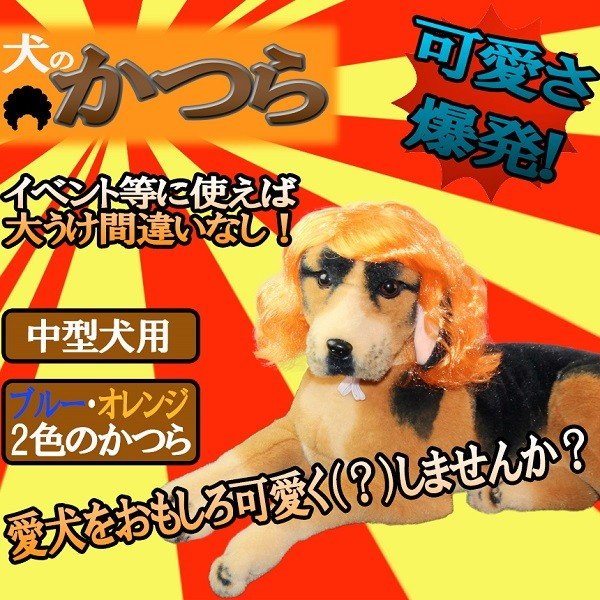 中型犬用 犬 の かつら 面白 可愛い キュート パーティ イベント アレンジ Et Inukatu 通販 Lineポイント最大0 5 Get Lineショッピング