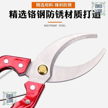 環剝器 果樹環割刀環剝刀環枝剪 柑桔蜜柚果樹剝皮環剝刀芽接刀