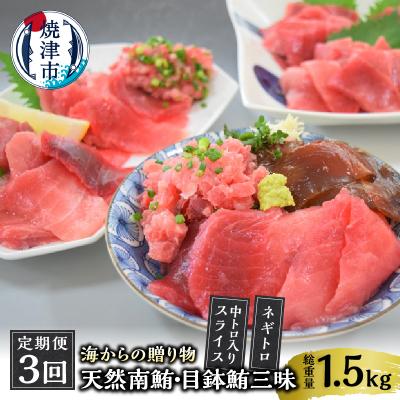 ふるさと納税 焼津市 海からの贈り物　焼津天然まぐろ三昧　3回お届け　定期便(a30-232)