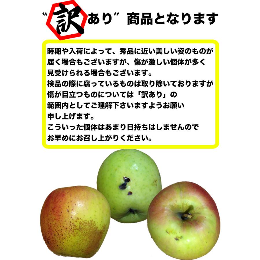 りんご 訳あり 5kg 青森県産 ぐんま 名月 約5kg 訳あり 幻のりんご 送料無料 傷あり 予約 11月下旬頃から発送開始