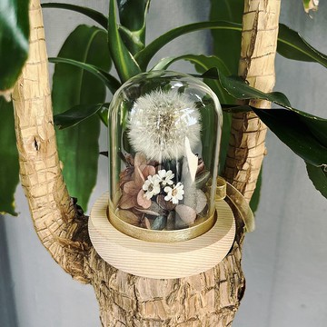 蒲公英微景觀 小小玻璃罩 魔法精靈  永生花 交換禮 教師