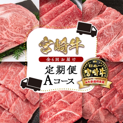 宮崎牛6ヶ月定期便Aコース 焼肉 すき焼き ステーキ[2284]