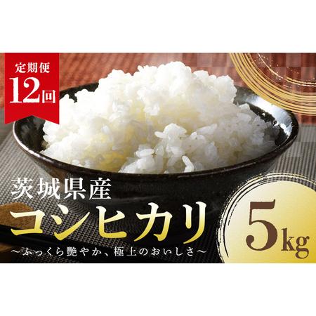 ふるさと納税 定期便12回 コシヒカリ 5kg こしひかり 米 白米 茨城県産 新米 お弁当 おにぎり 47-E 茨城県小美玉市