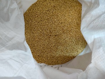 非寵Beak - 飼料用燕麥真空分裝包(當天下單當天分裝)