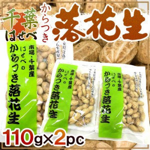 千葉産 ”はせべ からつき落花生” 110g×2袋 国産 ピーナッツ