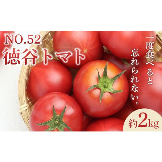 ふるさと納税 高知県 高知市 特選徳谷トマト約2kg　生産者52番　フルーツトマト