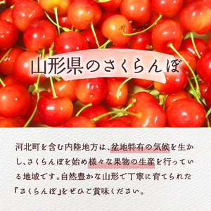 令和6年産 さくらんぼ紅秀峰 ２L 1kg以上(500gバラ詰め×2パック)