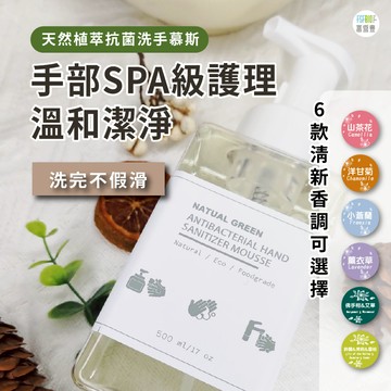 【台灣製造 現貨速出】泡沫洗手乳 慕斯洗手乳 洗手慕絲 洗手泡沫洗手乳 雅莉珊卓洗手慕斯450ml 洗手液 抗菌洗手乳