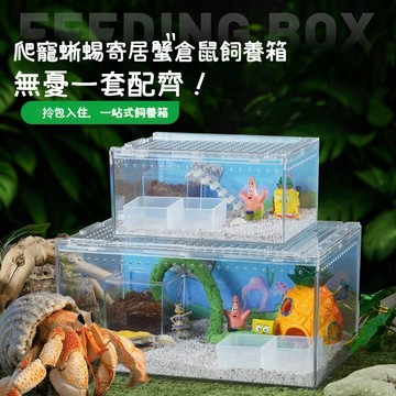 一體成形/可裝水/可堆疊 全透明壓克力飼養箱 磁吸上蓋 高清透明 通風透氣 兩棲爬蟲 守宮 蜥蜴 爬蟲盒 寵物缸烏龜缸