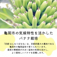 フローズンバナナ（皮なし）80g×6袋 『京都はんなりばなな』 《栽培期間中農薬不使用 京都 亀岡産 希少 おやつ スムージー アイス 小分け》