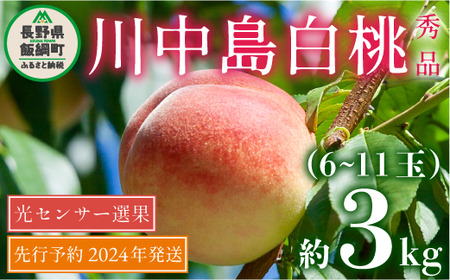 桃 川中島白桃 3kg 先行予約 2024年 秀品 光センサー  発送：2024年8月下旬～2024年9月中旬 配送先は本州限定 日時指定および不在指定不可 長野県 飯綱町 [1718]